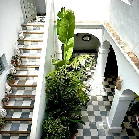 Spacious Private Vejer Patio Holiday home