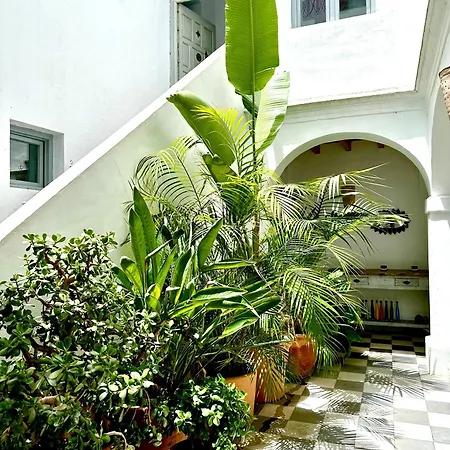 Spacious Private Vejer Patio Holiday home Vejer de la Frontera